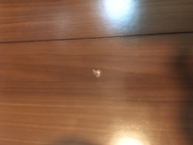 床へこみ　修理前①